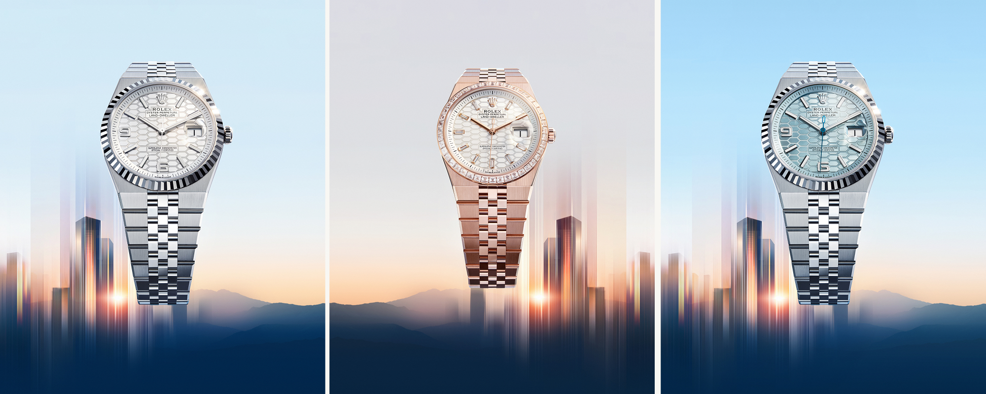 Rolex land-dweller